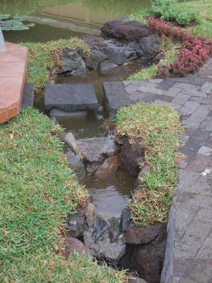 Strawberry Hill Hotel & Restaurant Bedugul (Bali) Exterior foto